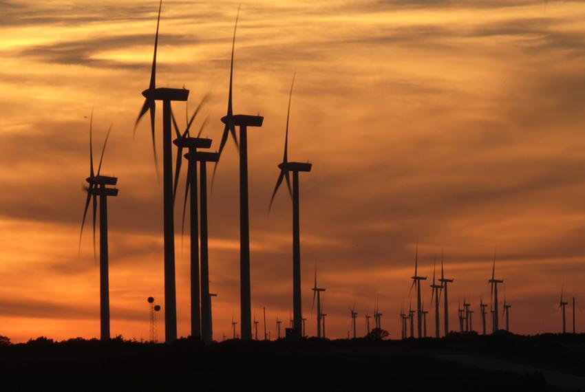 Report takes the wind out of Texas' reputation as renewable powerhouse